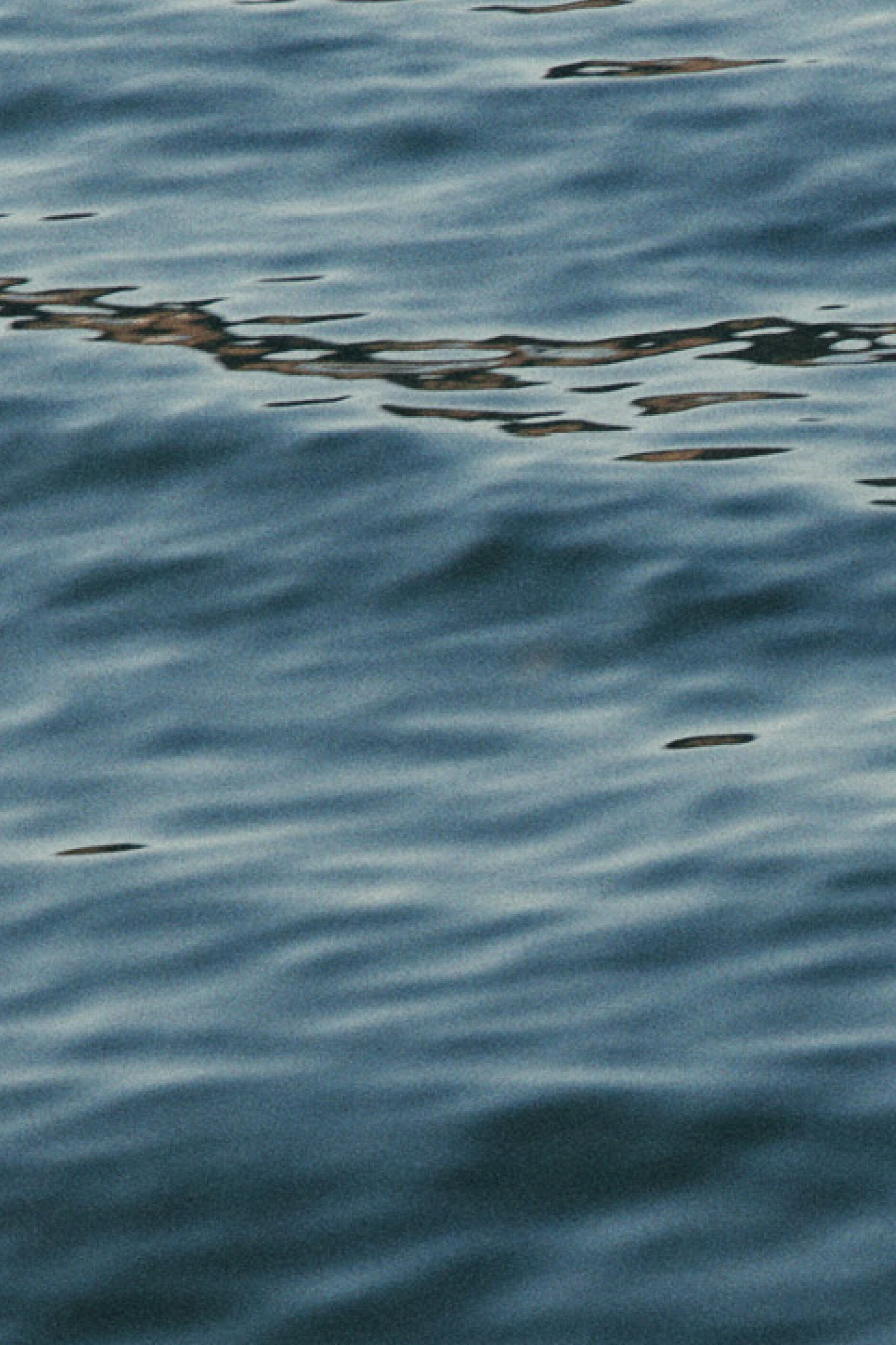 FilippaK Sale SS25 2x3